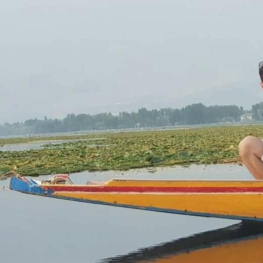 Green View Group Of Houseboats Srīnagar Extérieur photo