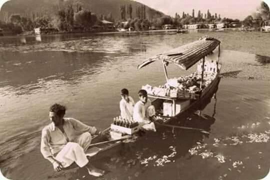 Hotel Green View Group Of Houseboats à Srīnagar Extérieur photo